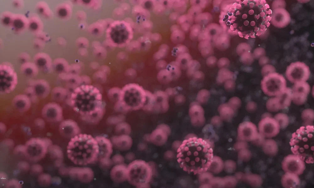 Sleep is One of the Best Defense Mechanisms for Immunity