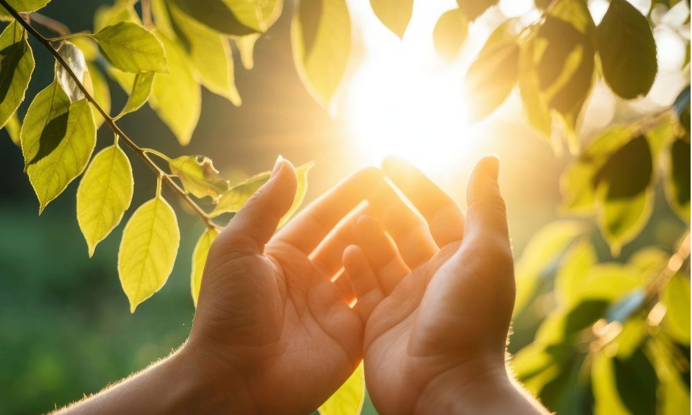 How Light Impacts Sleep, Skin, and Recovery and More: What the Science Really Says