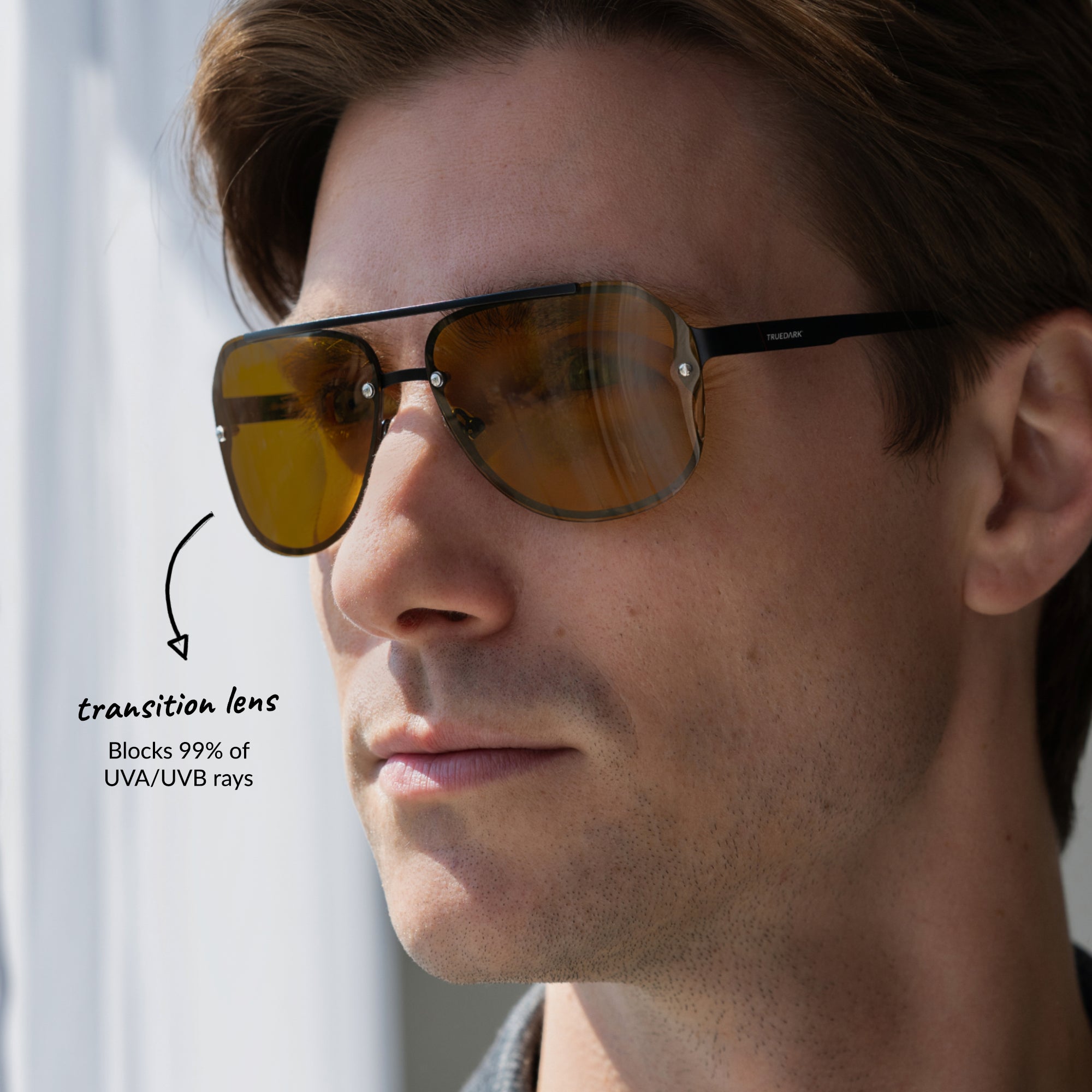 aviator goggle TrueDark TrueDark Daylights Transition Bel-Air Aviator Sunglasses