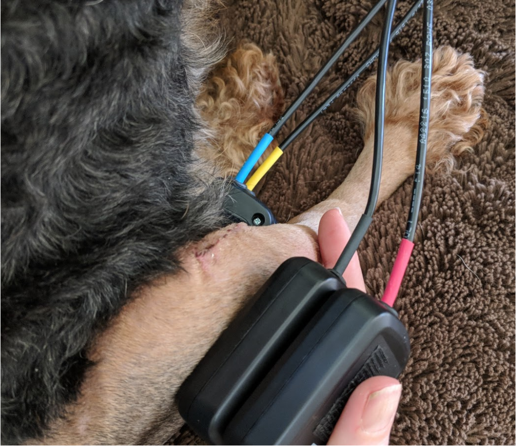 Pulsed Electromagnetic Field device on a dog leg showing how it can be done
