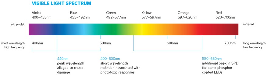 graph showing viable light spectrum