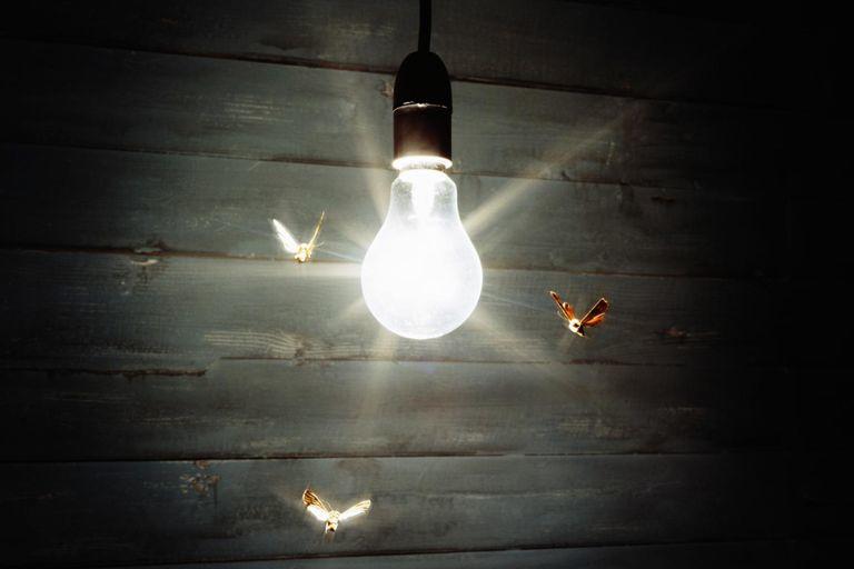 Bright light bulb with moths flying around