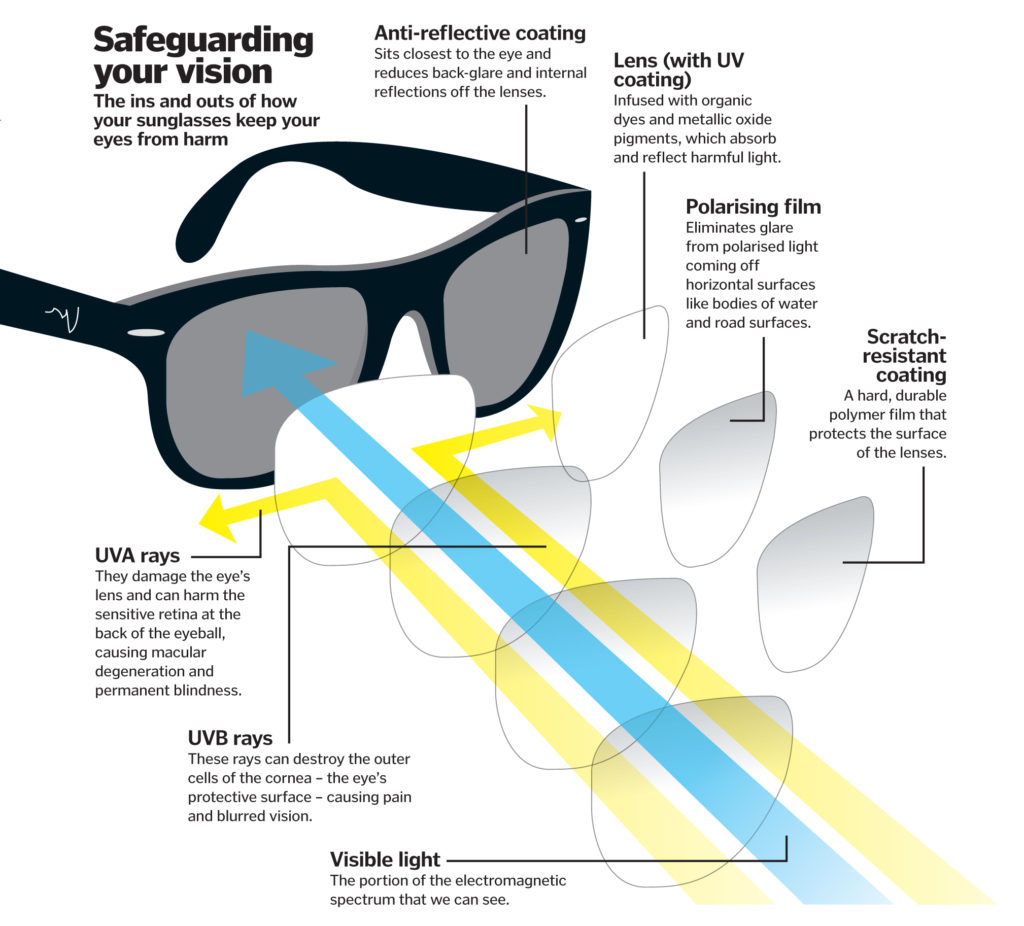 diagram showing how to safeguard your vision
