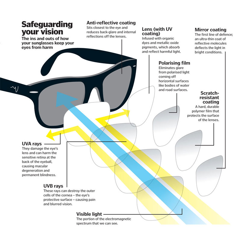 diagram showing how to safeguard your vision